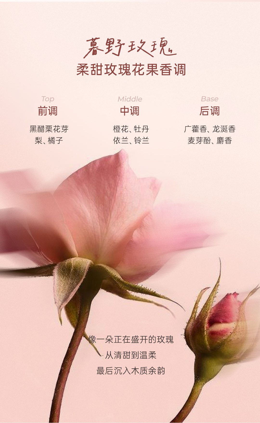 玫瑰沐浴露画板-1_08.jpg